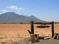 Menjelajahi Ragam Destinasi Seru Banyuwangi Tahun Ini