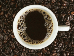 Panduan Minum Kopi Hitam untuk Fokus Pagi
